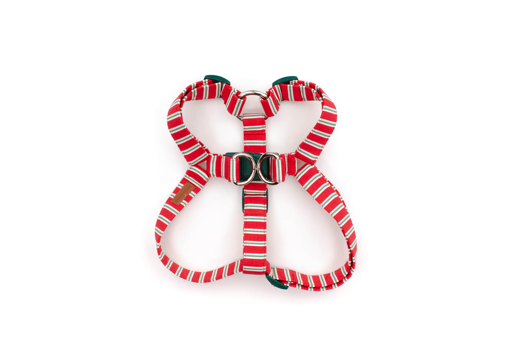 The Naughty List Harness