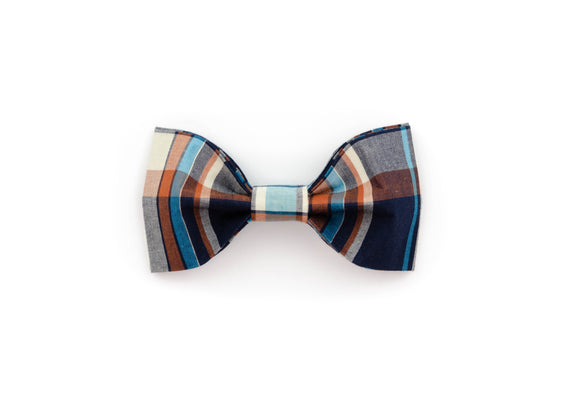 The Taylor Bowtie