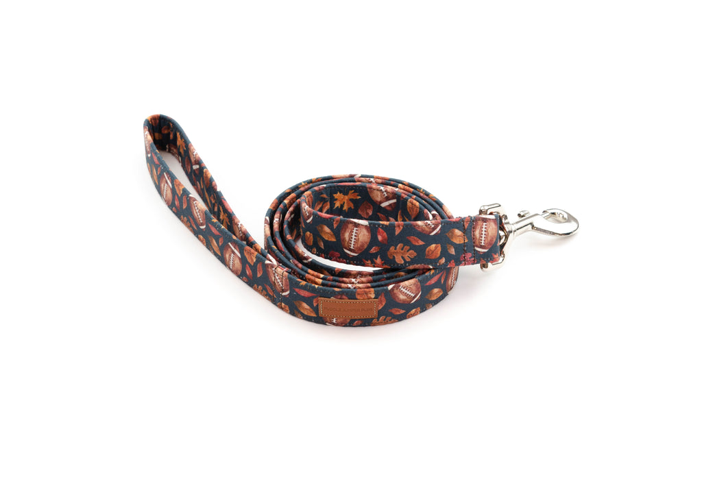 The Coach Leash