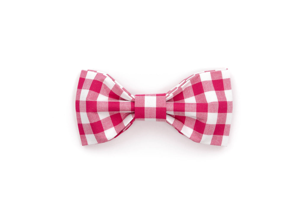 Dolly Bowtie