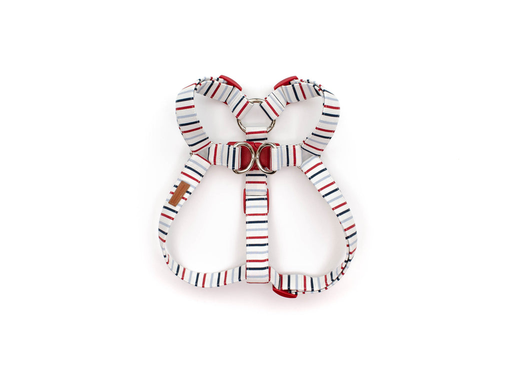 The Sam - Harness