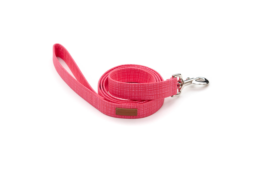 Fruit Punch Hatch Leash