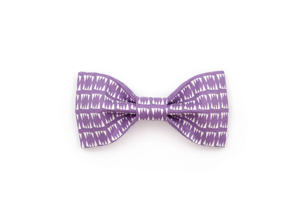The Eddie Bowtie