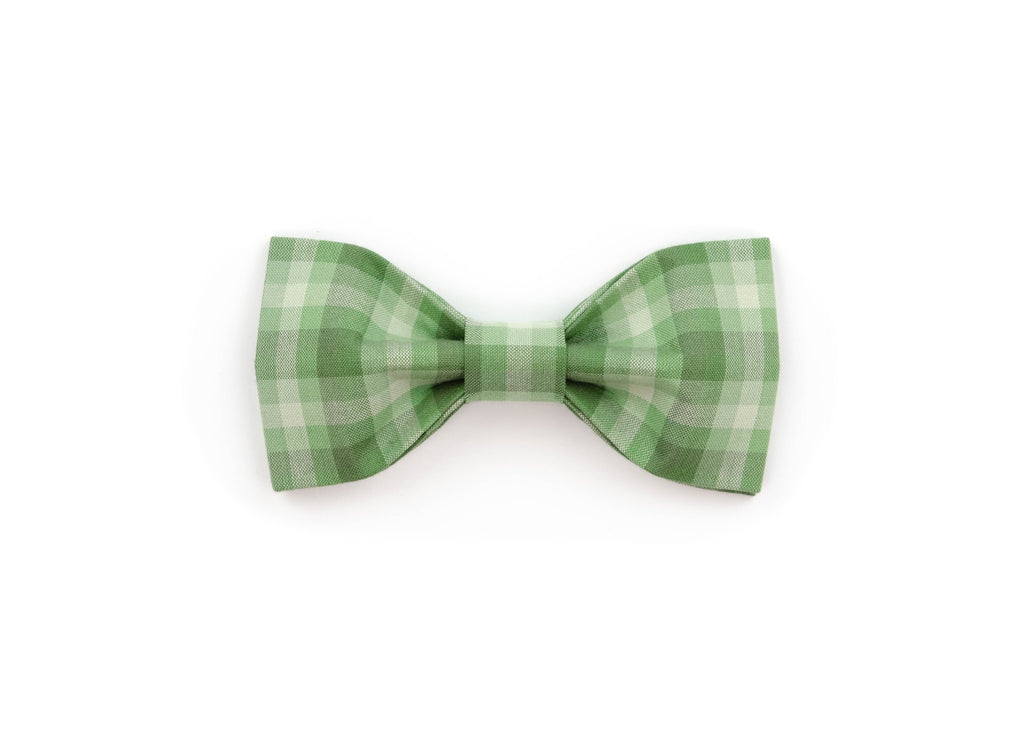 The Scotty Bowtie