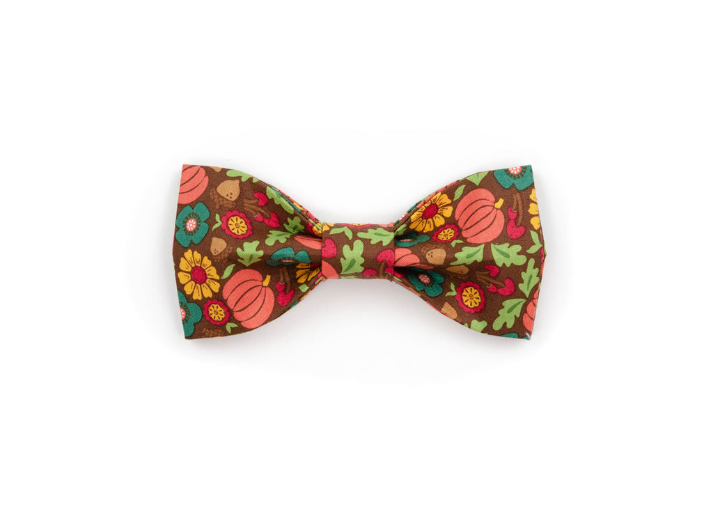 The Meredith Bowtie