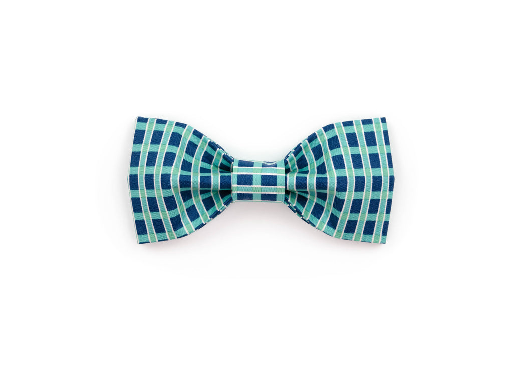The Harvey Bowtie