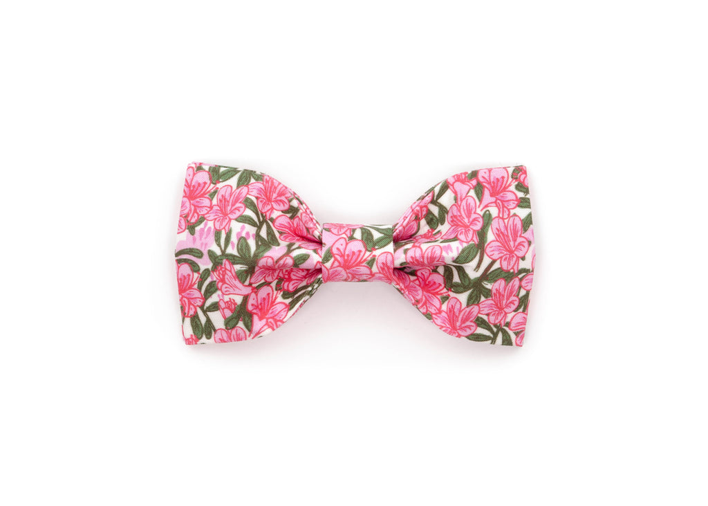 The Camellia Bowtie