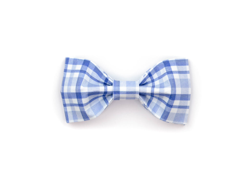 The Easton Bowtie