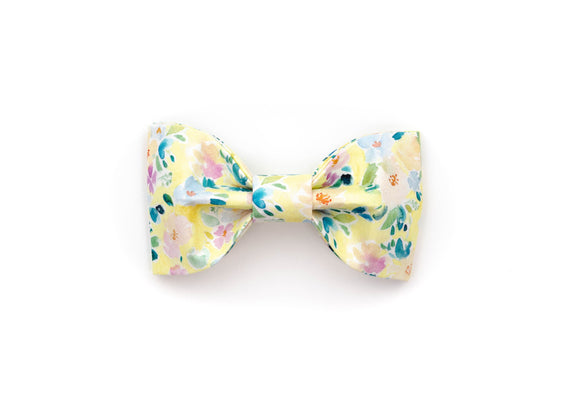 The Marie Bowtie