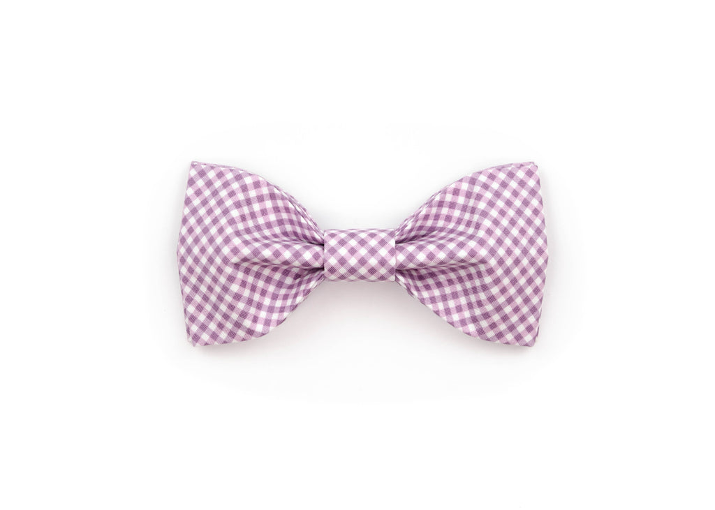 The Hale Bowtie