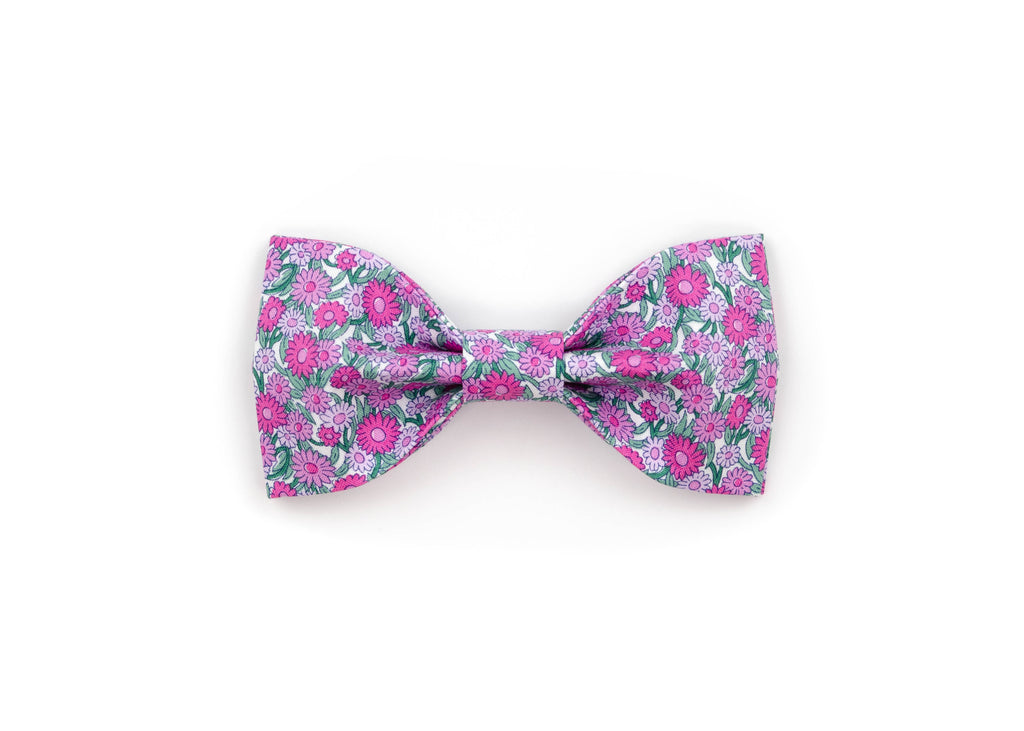 The Abby Bowtie