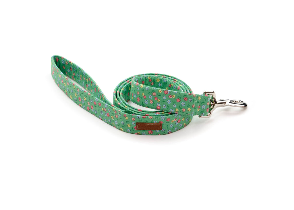 The Juniper Leash