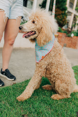 The Olivia Bandana
