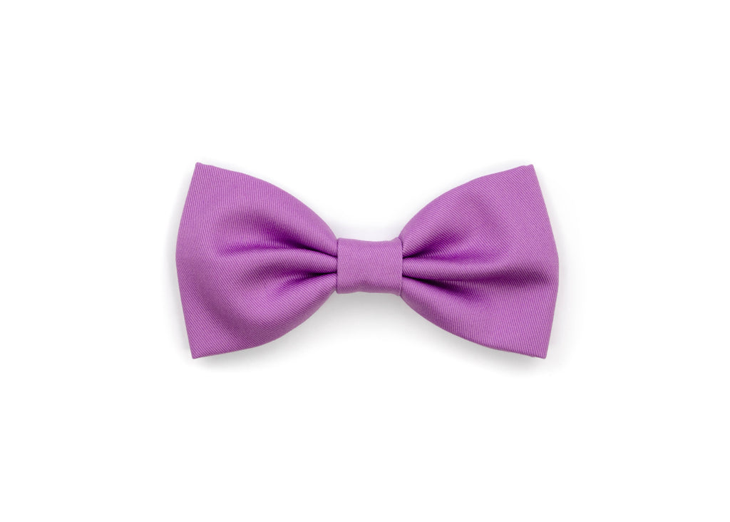 Signature Gentleman Bow - Wisteria