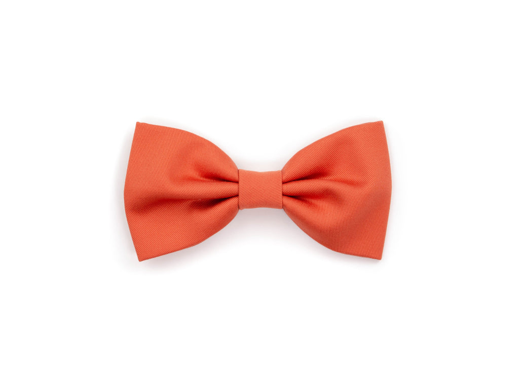 Signature Gentleman Bow - Terracotta