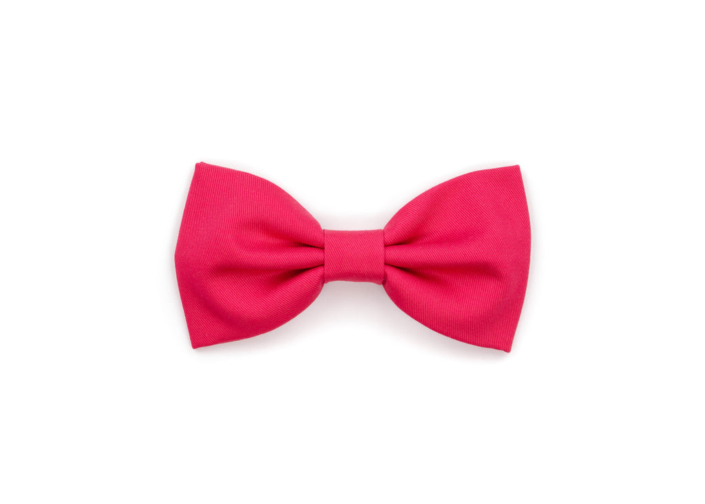 Signature Gentleman Bow - Punch