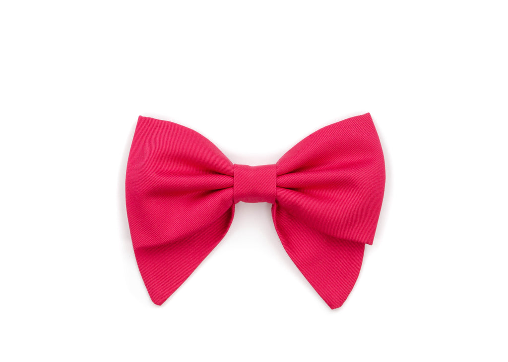 Signature Lady Bow - Punch