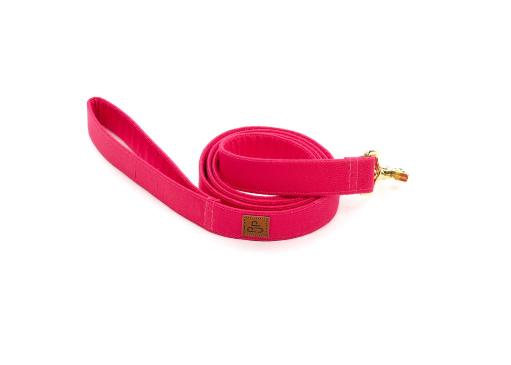 Signature Leash - Punch