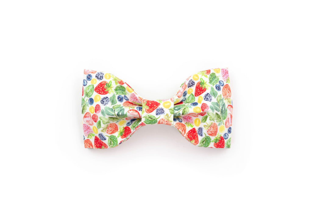 The Phoebe Bowtie