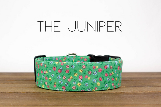 The Juniper