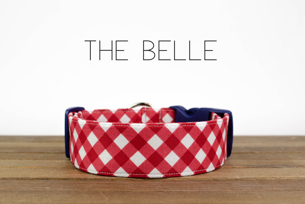 The Belle