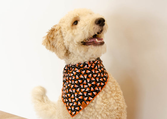 The Winifred Bandana