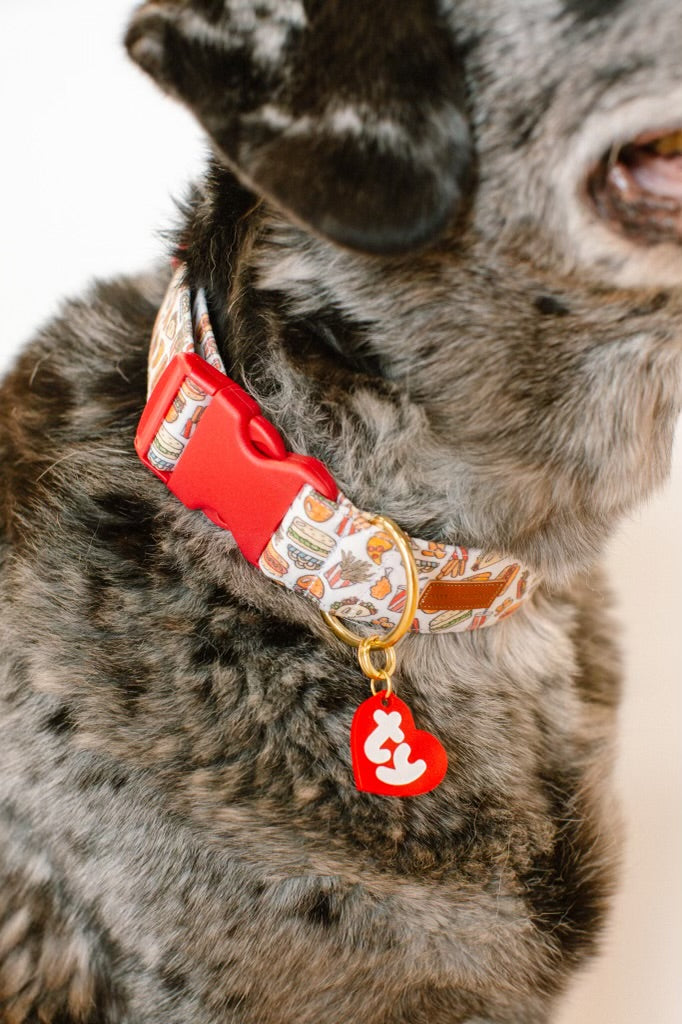 Ty Beanie Baby Collar + Tag Combo