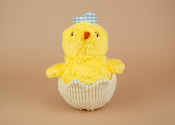 Hatching Chick Toy