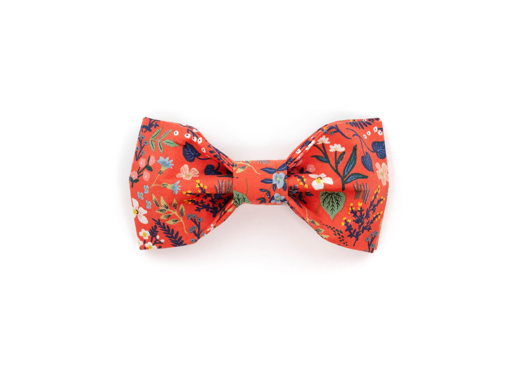 The Apple Bowtie