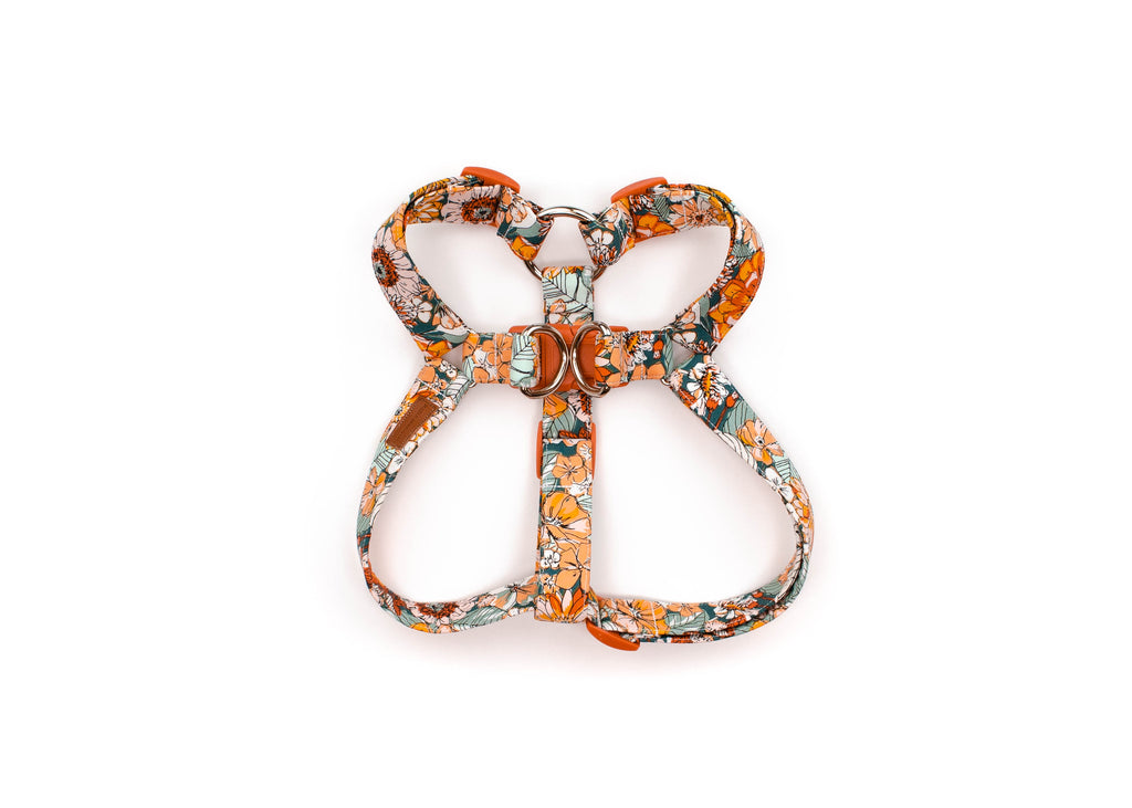 The Delilah Harness
