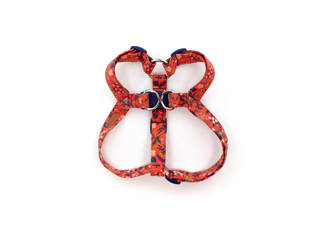 The Apple Harness