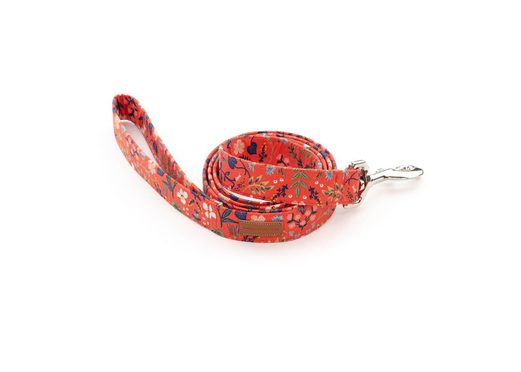 The Apple Leash