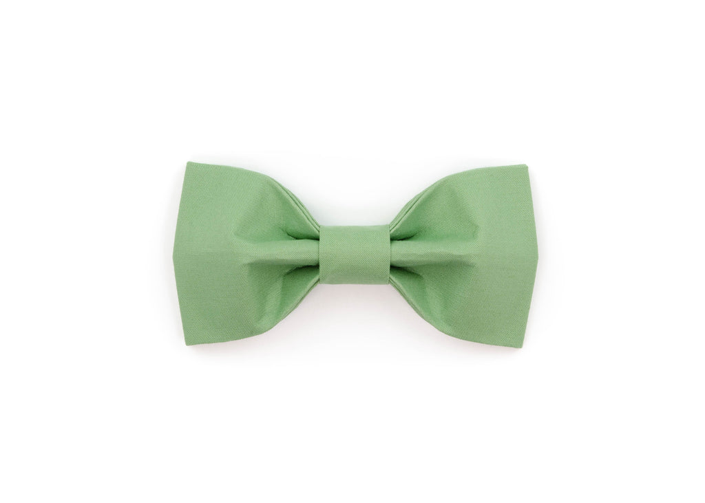 Laurel Bowtie