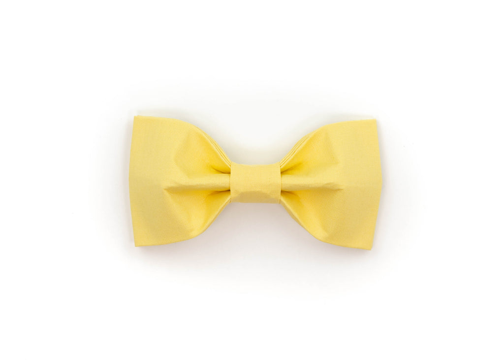 Butter Bowtie