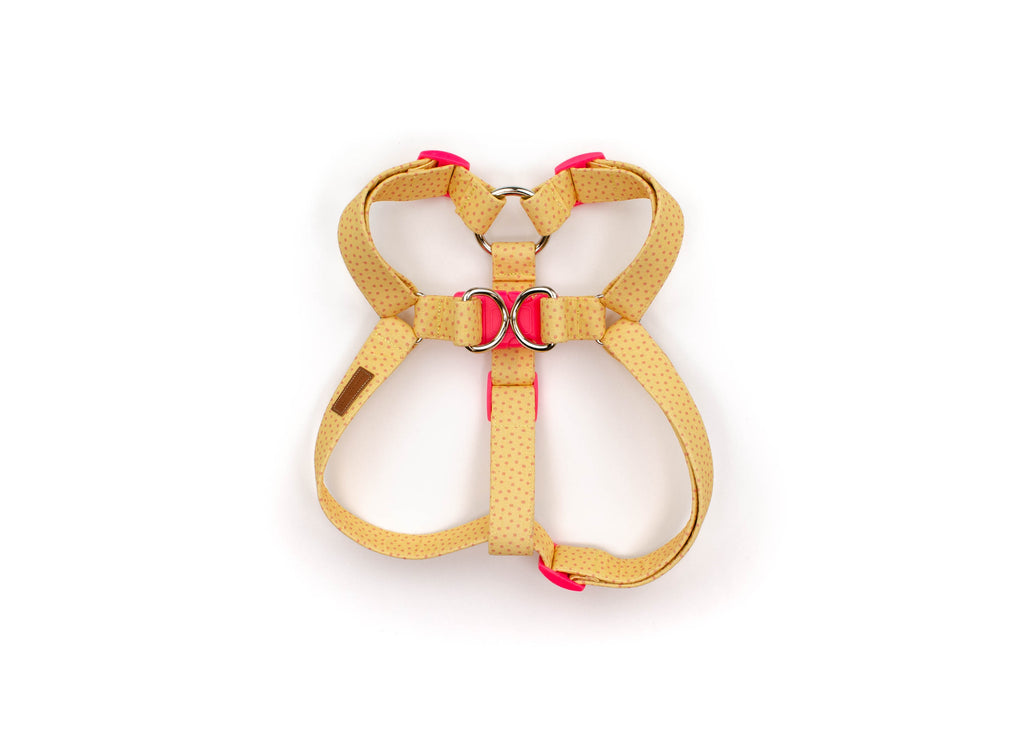 The Madrid Harness