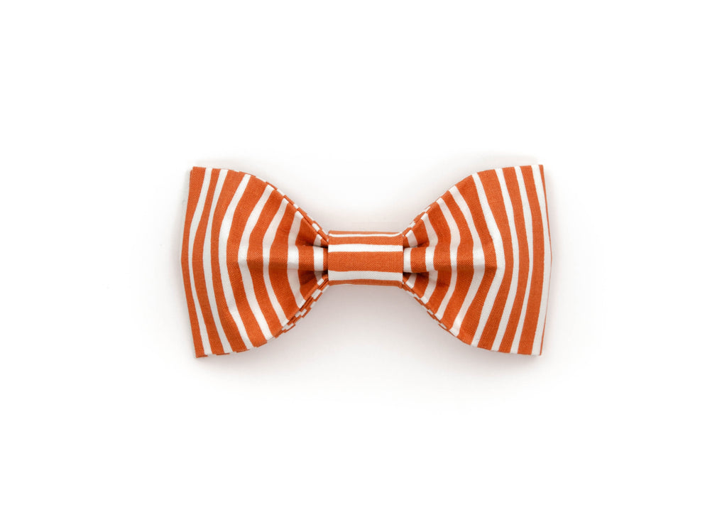The Jesse James - Bowtie