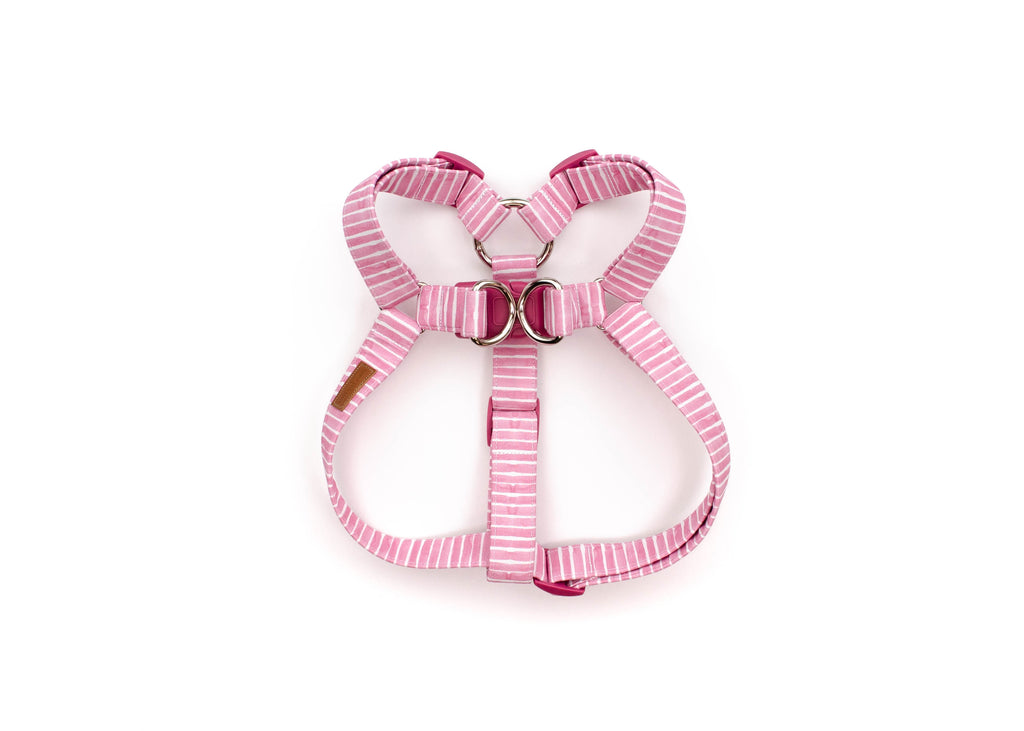 The Duchess - Harness