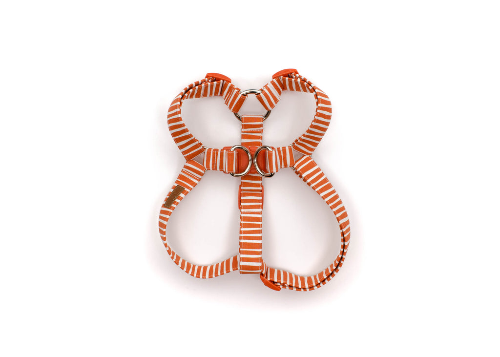 The Jesse James - Harness