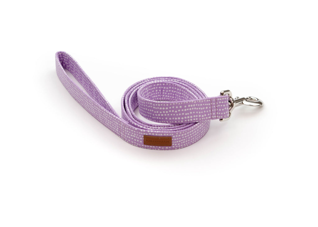 The Pixie - Leash