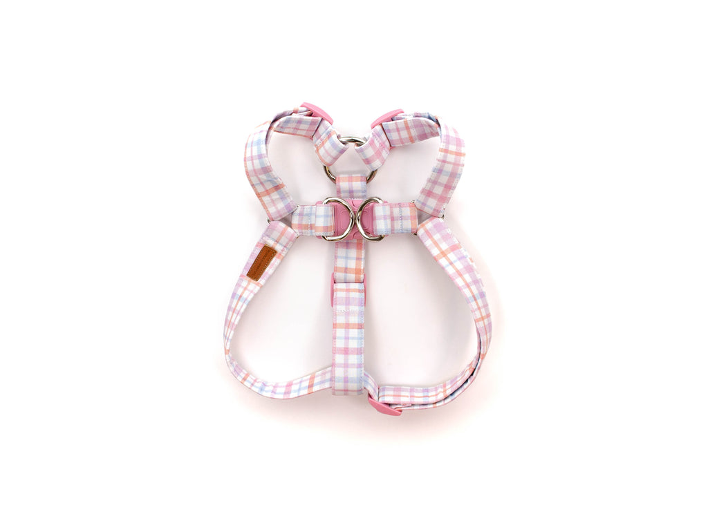 The Alys Harness