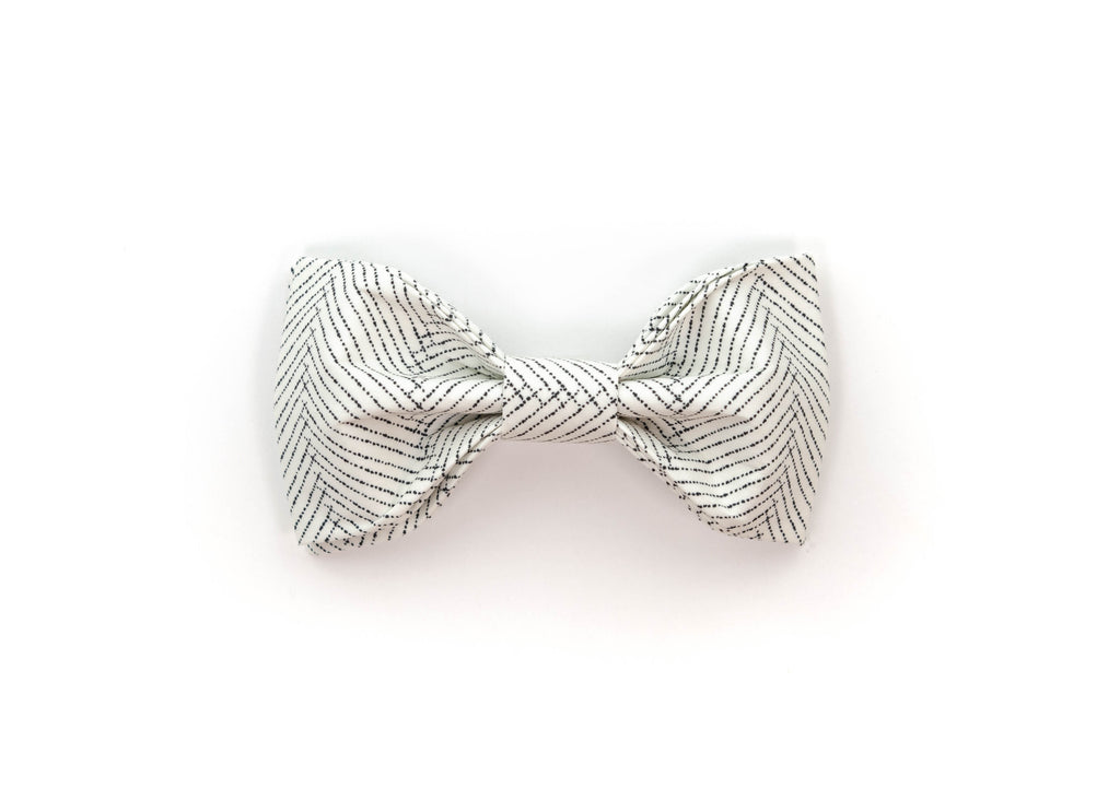 The Austin Bowtie