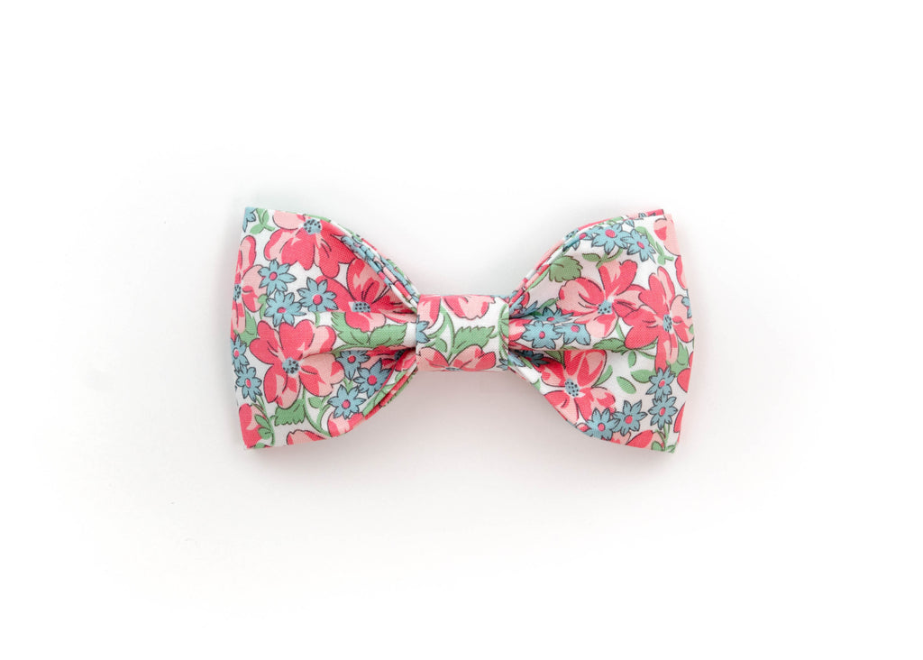 The Dotty Bowtie