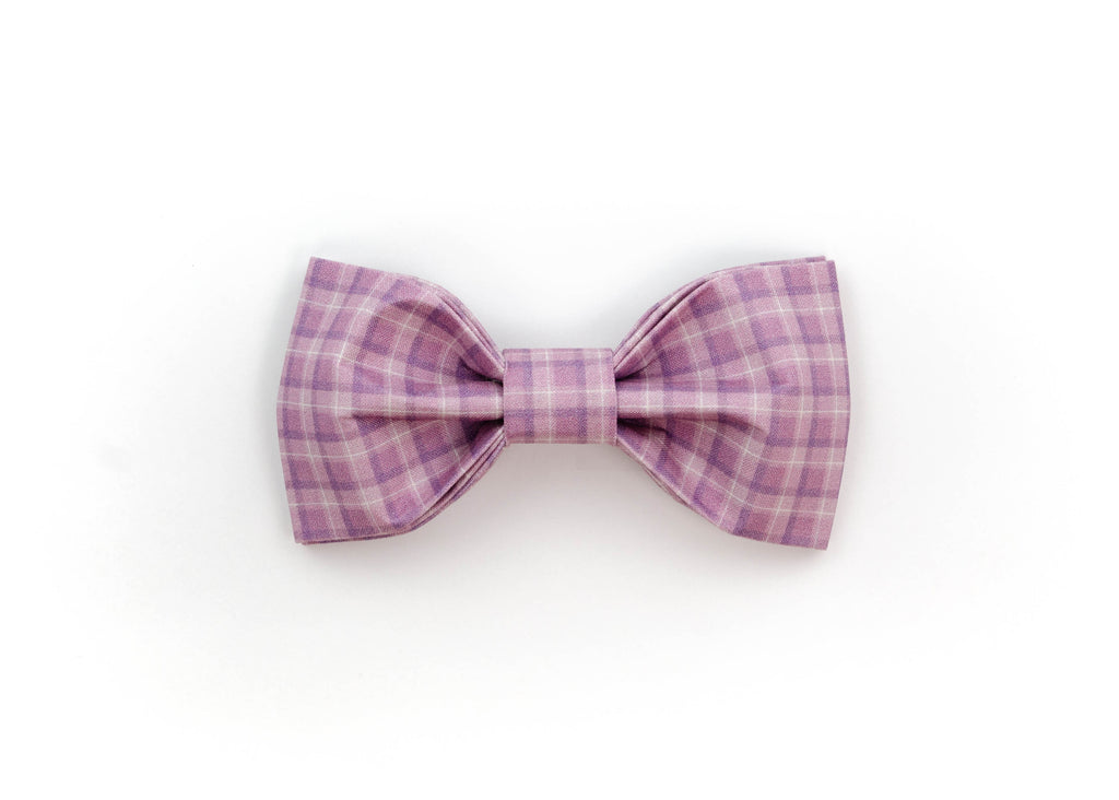 The Irma Bowtie