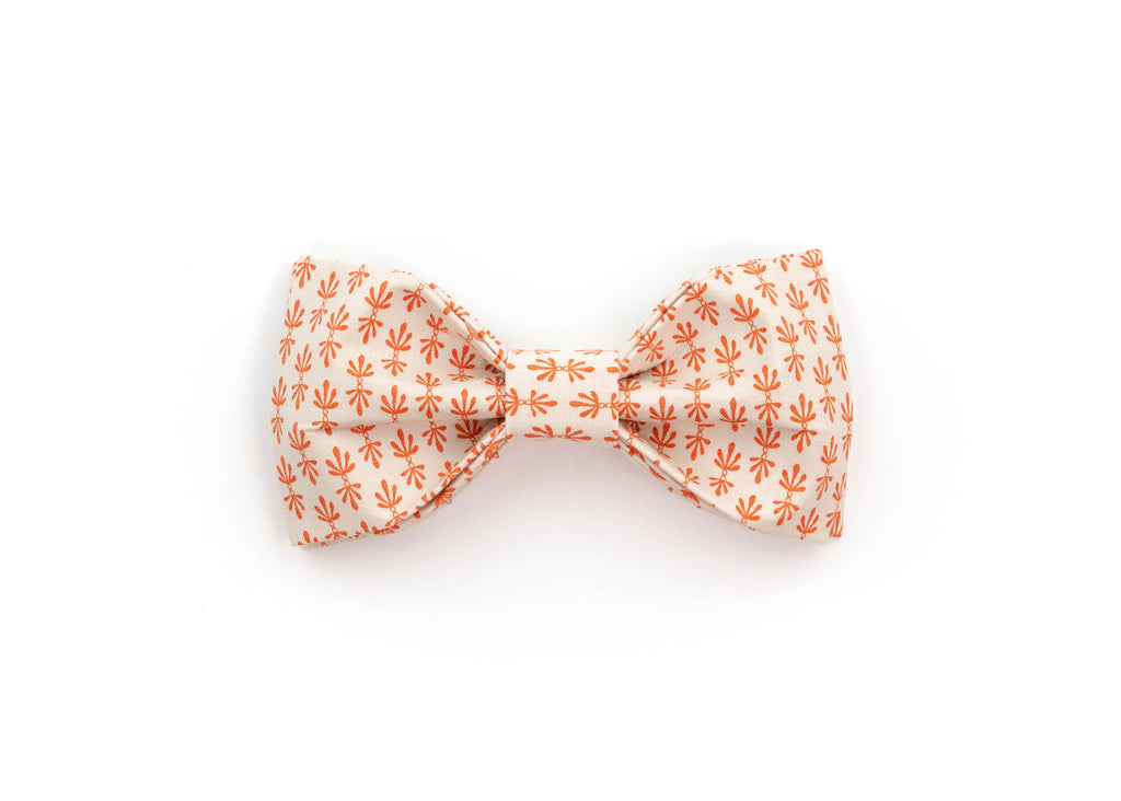 The Celeste Bowtie