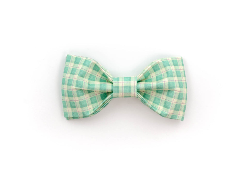The Burke Bowtie