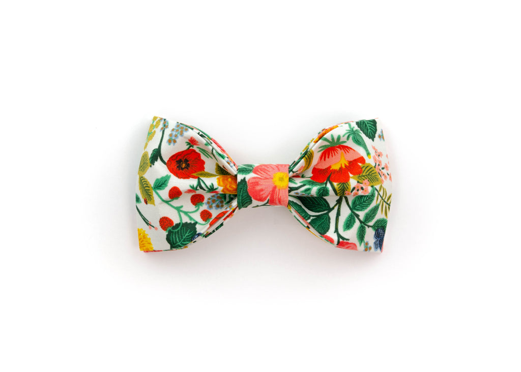 The Louisa Bowtie