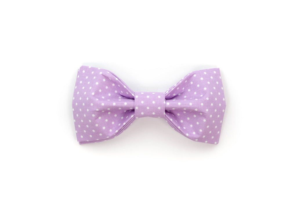 Lavender Polka Dot Bowtie