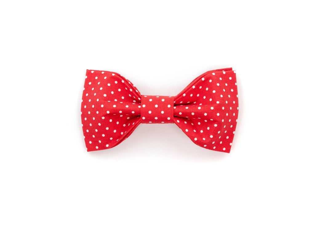 Red Polka Dot Bowtie
