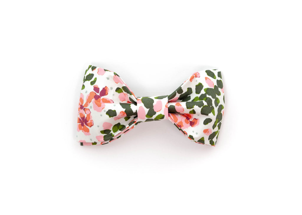 The Ann Bowtie
