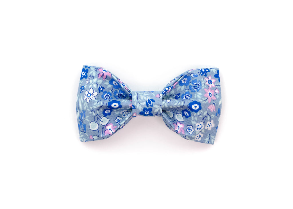 The Darcie Bowtie